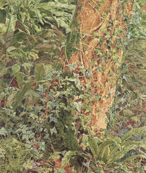Albert Joseph Moore,ARWS Study of an Ash Trunk (mk46) France oil painting art